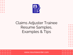 claims adjuster trainee resume samples examples tips
