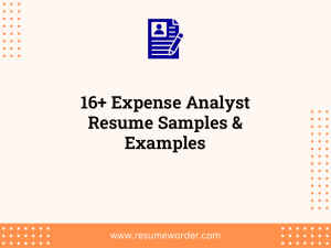 16 expense analyst resume samples examples
