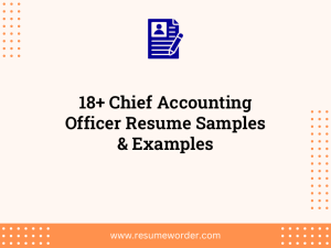 18 chief accounting officer resume samples examples