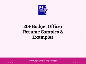 20 budget officer resume samples examples