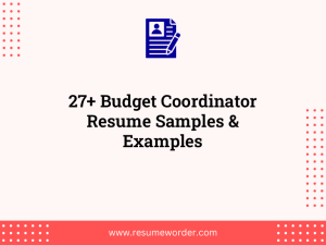 27 budget coordinator resume samples examples