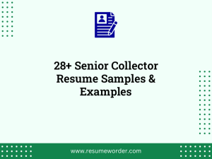 28 senior collector resume samples examples