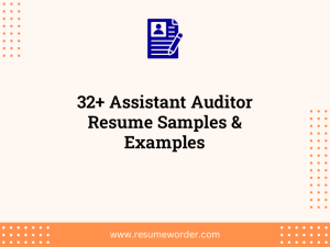 32 assistant auditor resume samples examples