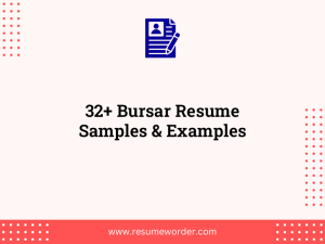 32 bursar resume samples examples