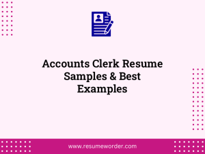 accounts clerk resume samples best examples