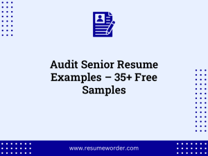 audit senior resume examples 35 free samples