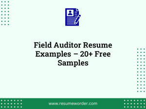 field auditor resume examples 20 free samples