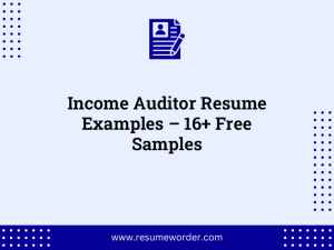 income auditor resume examples 16 free samples
