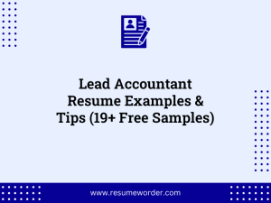 lead accountant resume examples tips 19 free samples