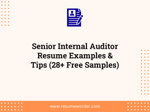 senior internal auditor resume examples tips 28 free samples