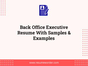 back office executive resume with samples examples