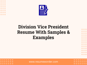 division vice president resume with samples examples