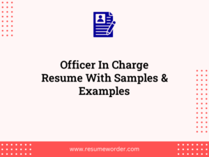 officer in charge resume with samples examples