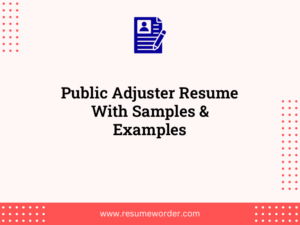public adjuster resume with samples examples