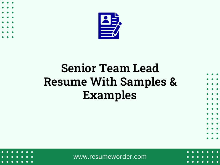 senior team lead resume with samples examples