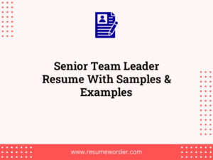 senior team leader resume with samples examples