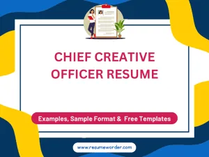 Chief Creative Officer Resume - Examples