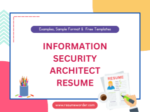 Information Security Architect Resume - Examples