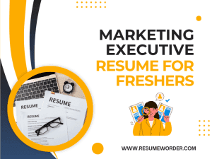 Marketing Executive Resume for Freshers